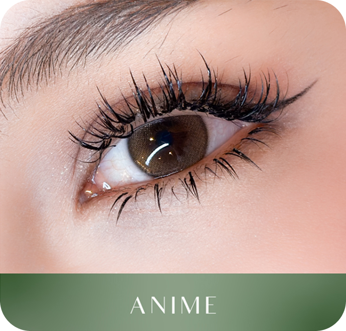 Midaz Signature Anime